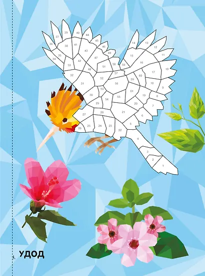 Живая природа - фото 8