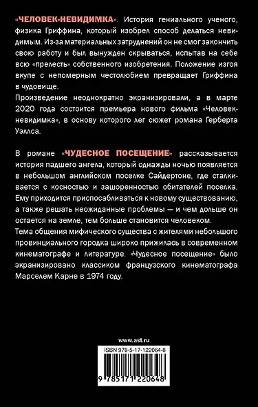 Человек-невидимка - фото 2