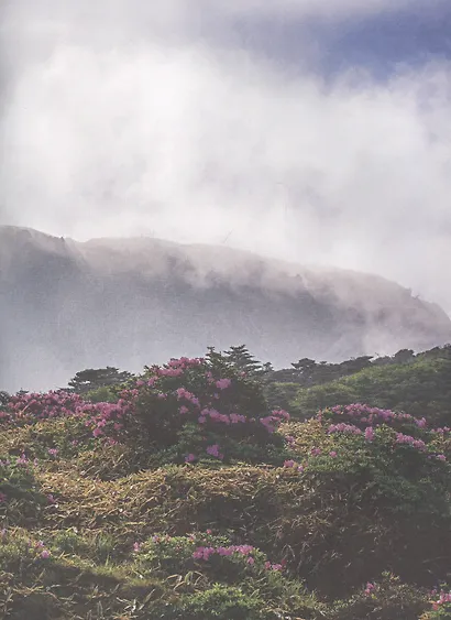 Как живут корейцы - фото 6