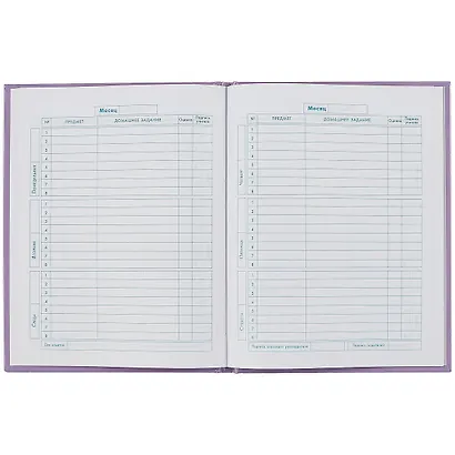 Дневник для младших классов Феникс+, "Кото-клубок" - фото 2