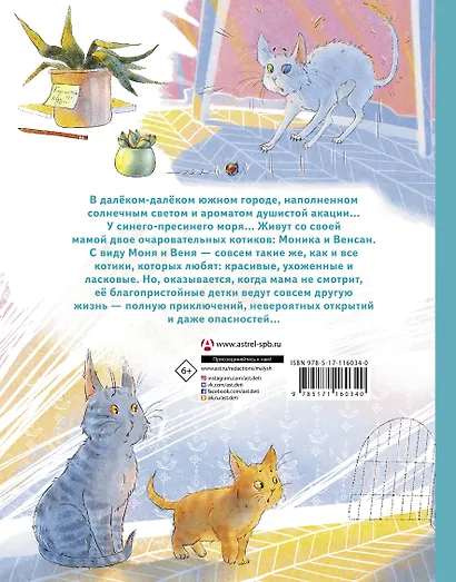 Моня и Веня: котики, которых любят - фото 2