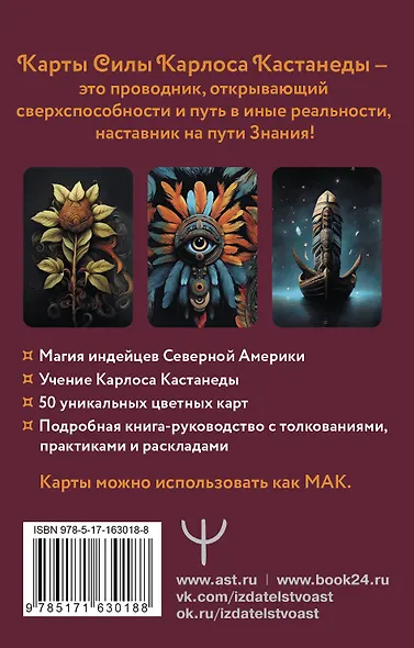 Карты Силы Карлоса Кастанеды. Управление реальностью, предсказание будущего, открытие магических способностей - фото 2
