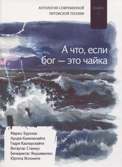 «А что если бог — это чайка». Книга I - фото 1