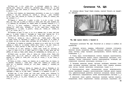 Русский язык. Тренировочные задания. 2 класс - фото 5