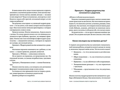 Мудрое родительство: Как воспитать счастливого и успешного ребенка - фото 3