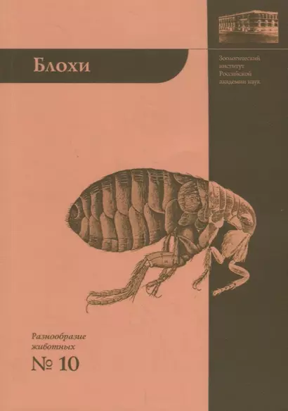 Блохи - домашние или домовые животные? - фото 1