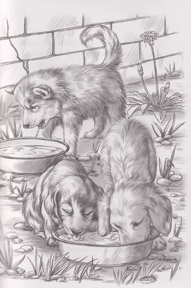 Я тебя не брошу. Полосатое счастье - фото 4