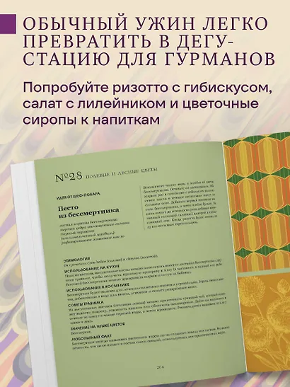 Грамматика цветов. Иллюстрированный путеводитель по цветочной вселенной символов, лечебных свойств и применения растений - фото 7