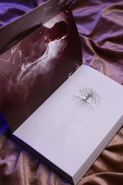 Невольница. Книга 1.5 - фото 12