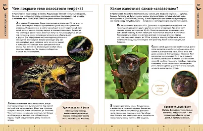 Редкие и удивительные животные нашей планеты. Энциклопедия для детей - фото 10