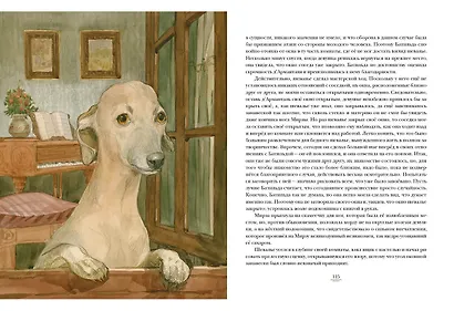 Шевалье д’Арманталь - фото 6