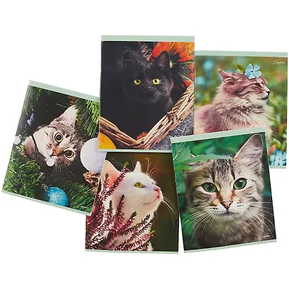 Тетрадь в линейку Unnika, "Кот без забот", 48 листов, в ассортименте - фото 7