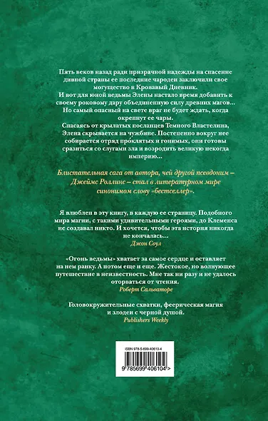 Огонь ведьмы - фото 2