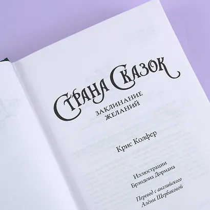 Страна Сказок. Заклинание желаний. Иллюстрированное издание - фото 8