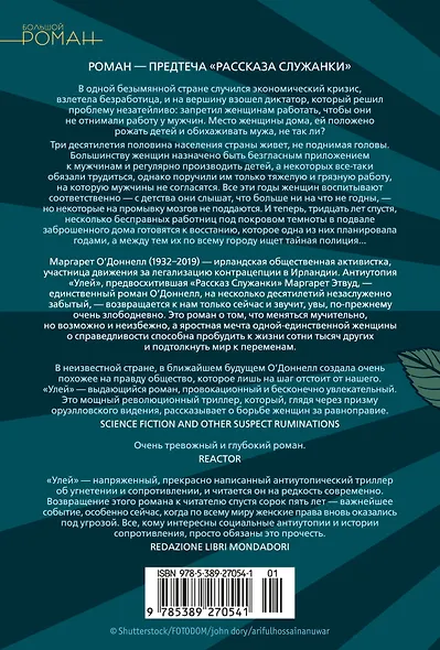 Улей - фото 2