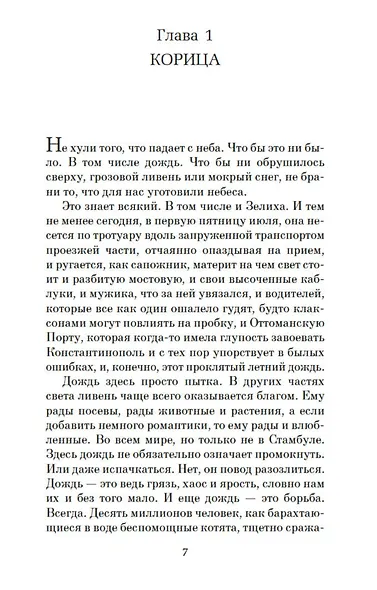 Стамбульский бастард - фото 8