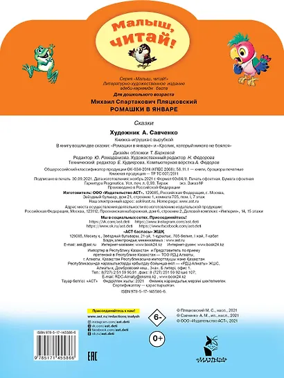 Ромашки в январе - фото 2