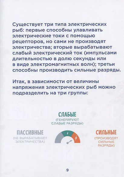 Электрические рыбы - фото 3