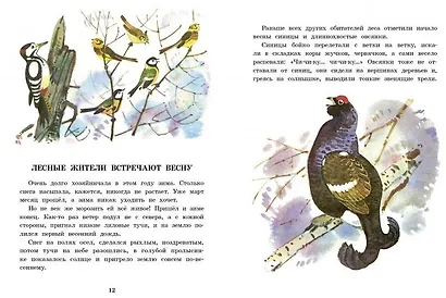 Белочка-хлопотунья - фото 4