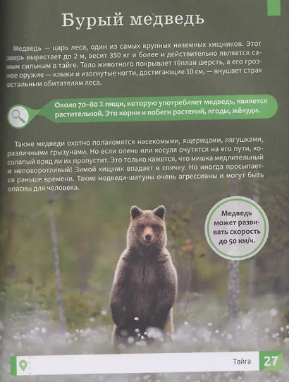 Природа России: энциклопедия - фото 5