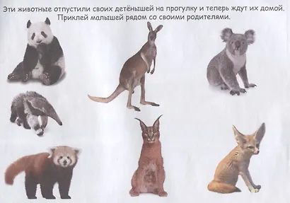 Маленькие зверята - фото 4