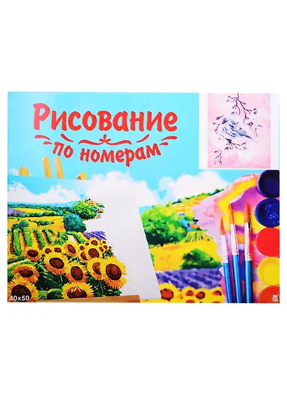 Набор д/творчества Рыжий кот Холст с красками 40х50см по номерам (в коробке) (20цв.) Птичка на ветке Х-2997 - фото 2