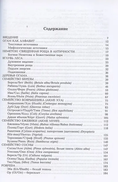 Кельтская магия деревьев: огам и мистерии друидов - фото 1