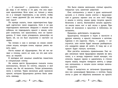 Фомка - белый медвежонок. Рассказы о животных - фото 4