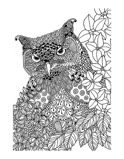 Узоры. Яркий мир природы - фото 3