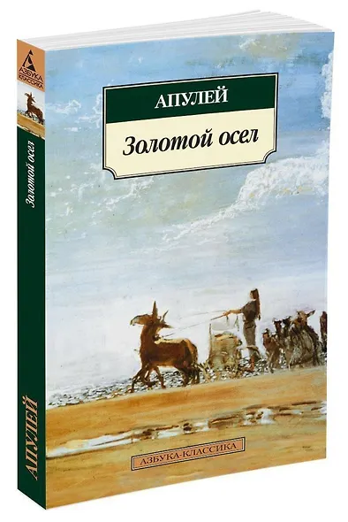 Метаморфозы, или Золотой осел - фото 7
