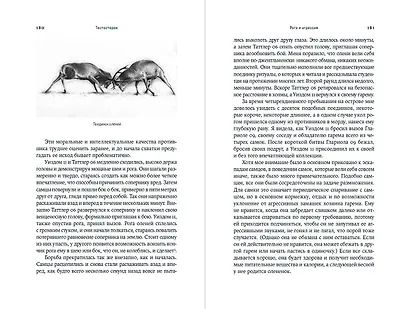 Тестостерон: гормон, который разделяет и властвует - фото 6