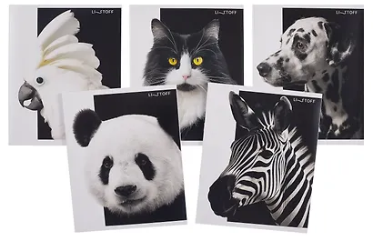 Тетрадь 48л кл. "Черно-белые животные" мел.картон, ассорти - фото 1