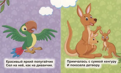 Черепашка-путешественница - фото 4
