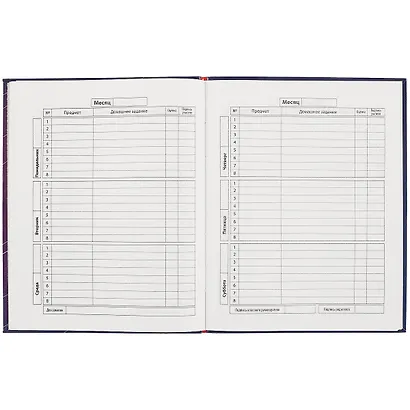 Дневник школьный Феникс+, "Космонавт" - фото 2