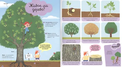 Главная книга малыша о природе - фото 4
