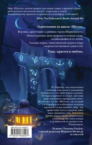 Шолох. Орден Сумрачной Вуали - фото 2