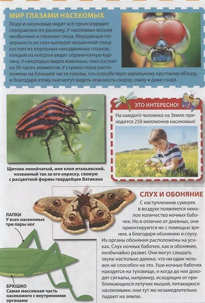 Мир насекомых - фото 6