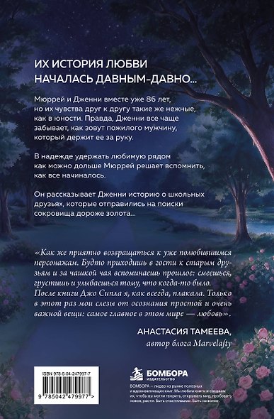 Первое желание мистера Макбрайда. Книга 3 - фото 2