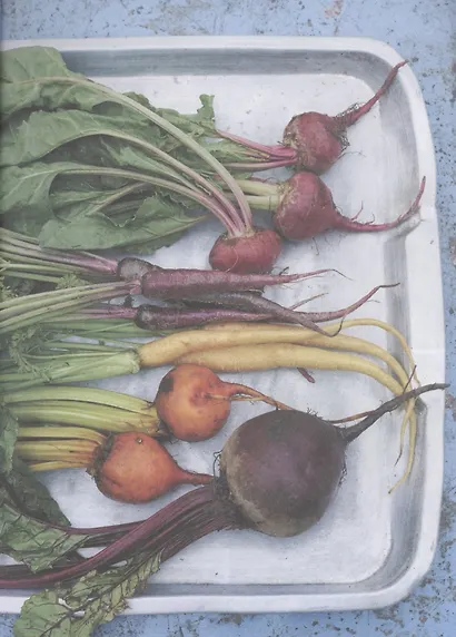 Десерты из овощей. Organic - фото 7