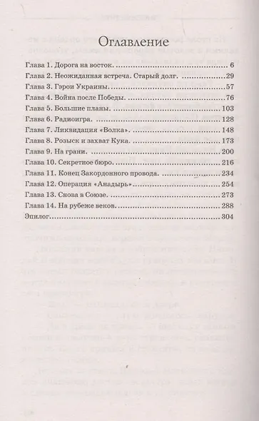 Чистильщик - фото 2