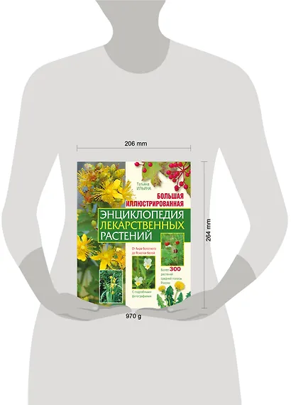 Большая иллюстрированная энциклопедия лекарственных растений - фото 4