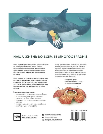 Как устроена жизнь на Земле - фото 2