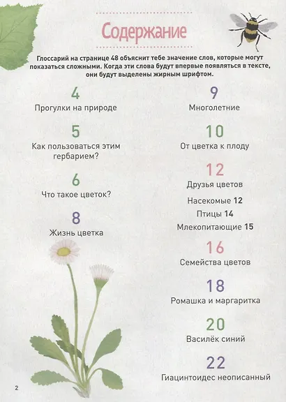 Мой цветочный гербарий 5+ - фото 2