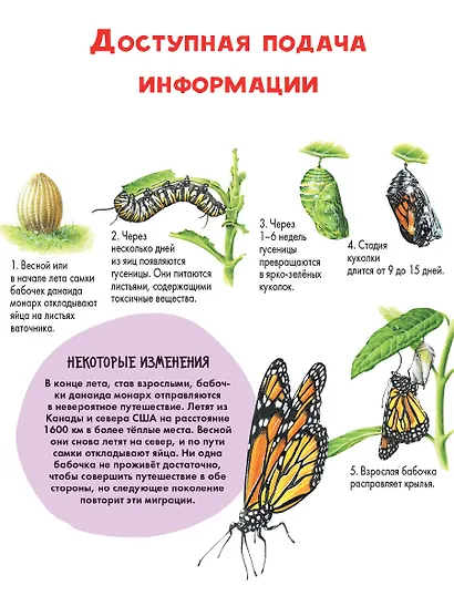 Детеныши животных - фото 5