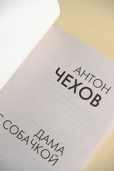 Дама с собачкой - фото 8