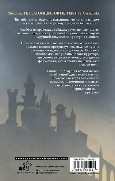 Маджериум. Поцелуй в темноте - фото 2