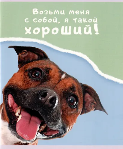 Тетрадь в линейку Listoff, "Веселые собаки", 48 листов, в ассортименте - фото 4