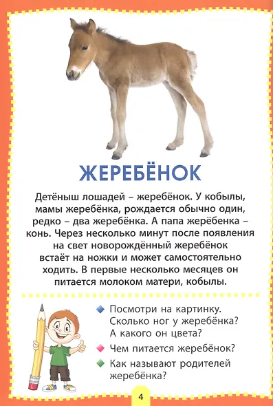 Детеныши животных. Фотокнига для самых маленьких - фото 4