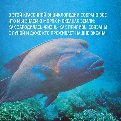 Тайны морей и океанов. Большая иллюстрированная энциклопедия - фото 7
