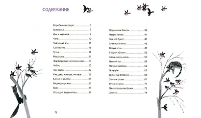 Воробьиное озеро. Рассказы - фото 8